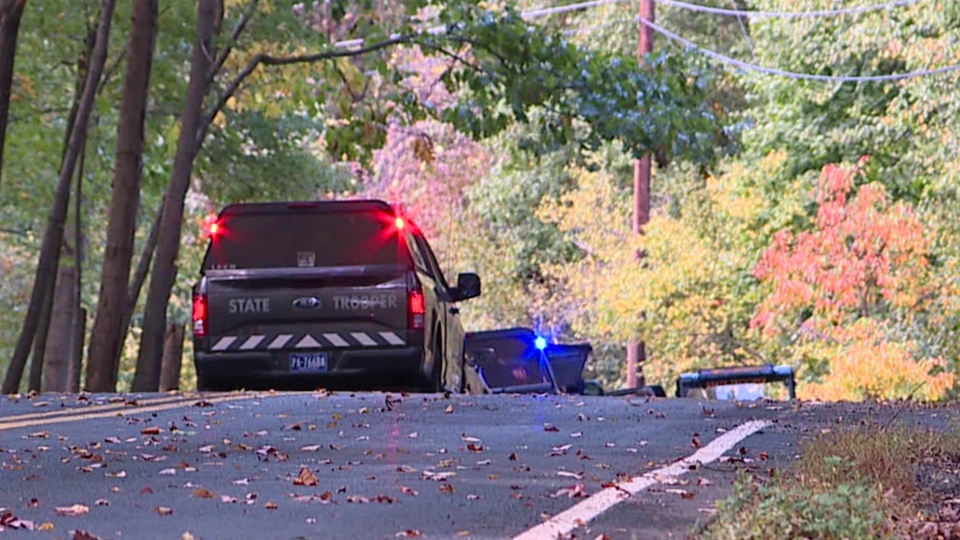 Two bodies were found early Tuesday in a wooded area of New Philadelphia.
