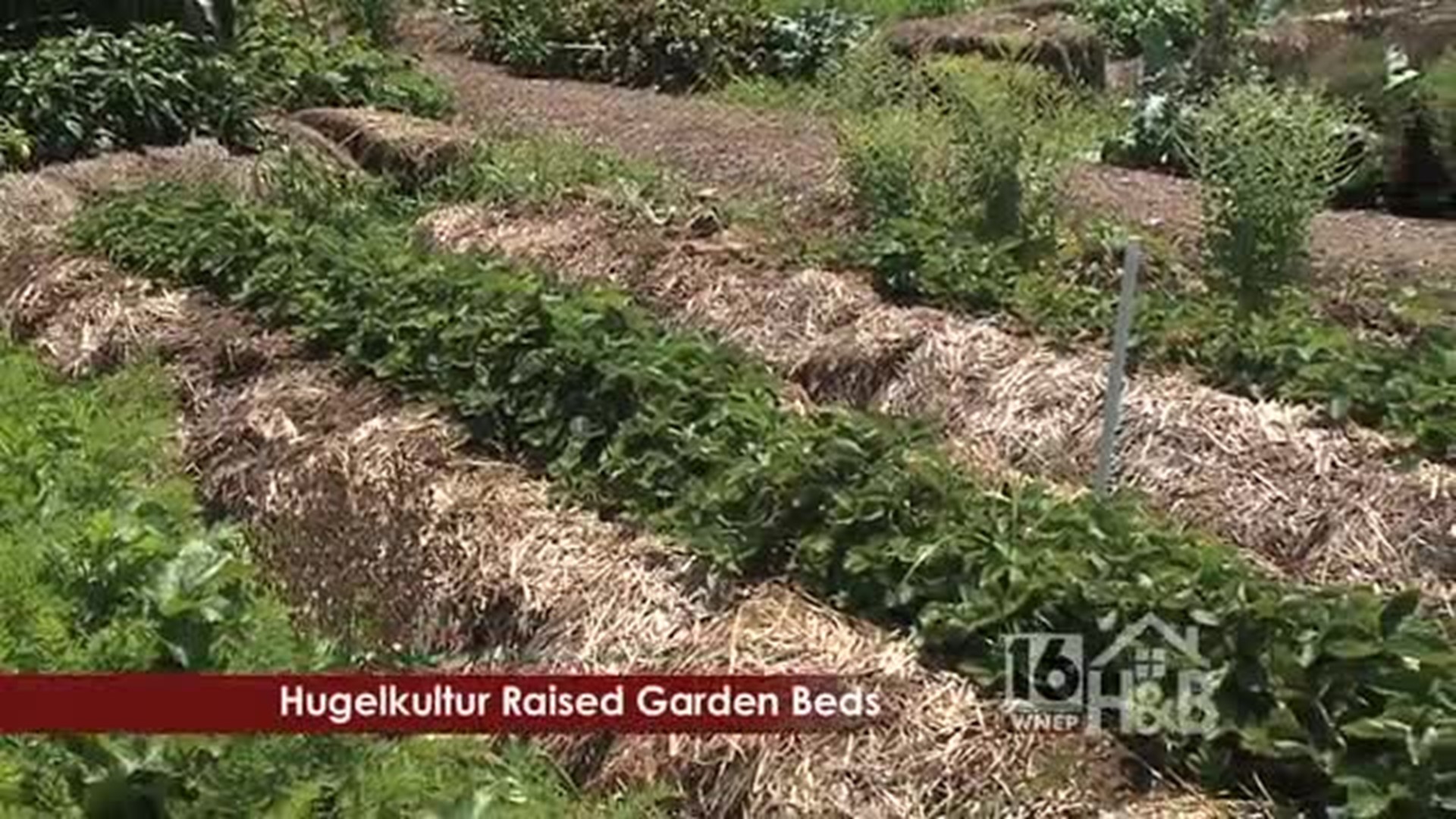 Improve your Vegetable Garden