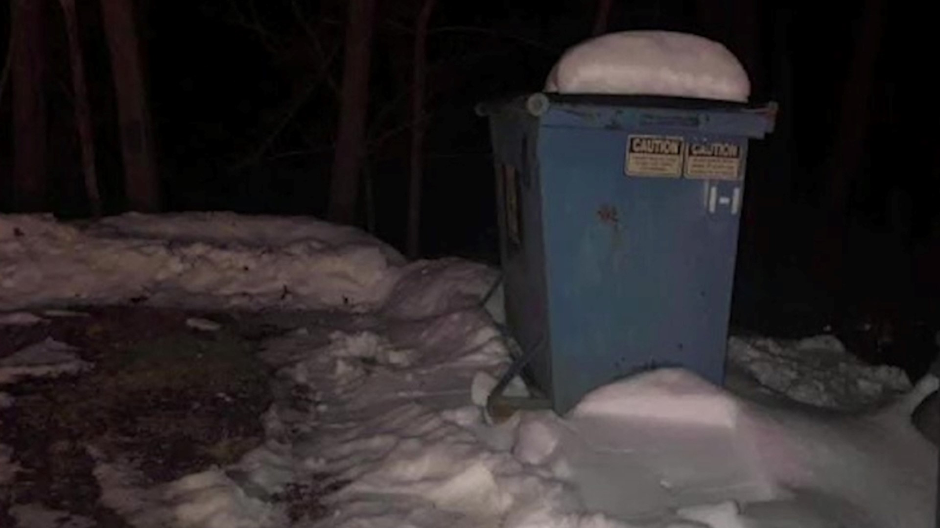 Cats were left in taped box behind a dumpster in a snowdrift.