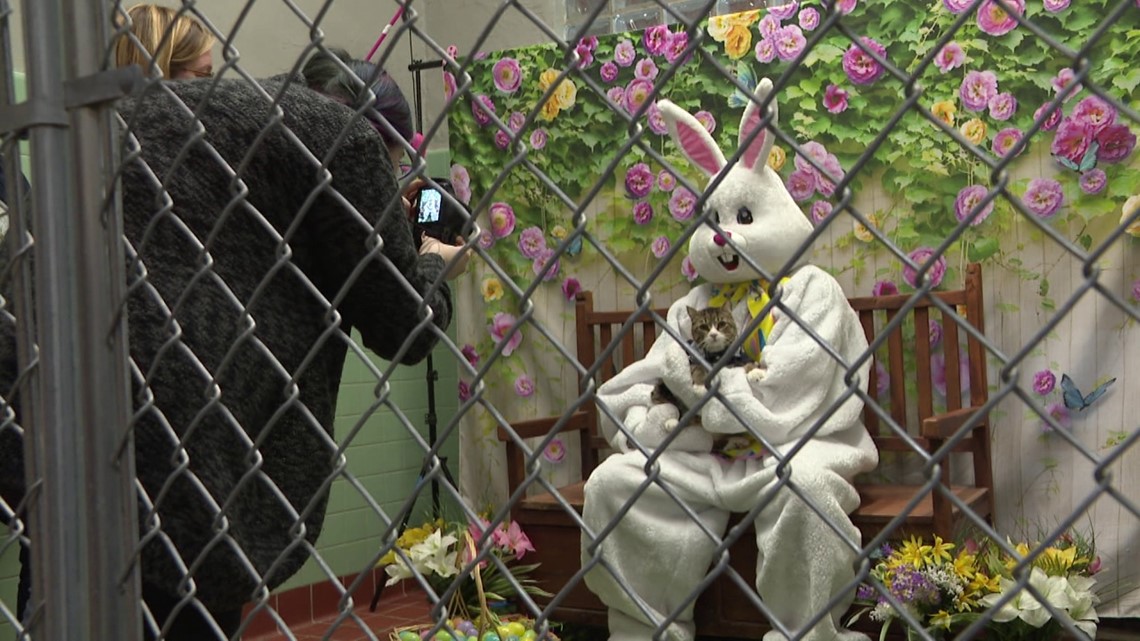 Easter Bunny Pictures Near Scranton