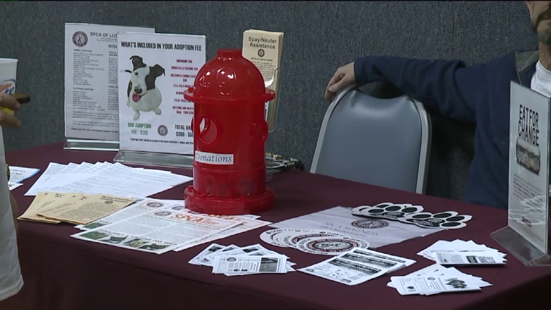 Pet Fest Supports Animals of Luzerne County SPCA