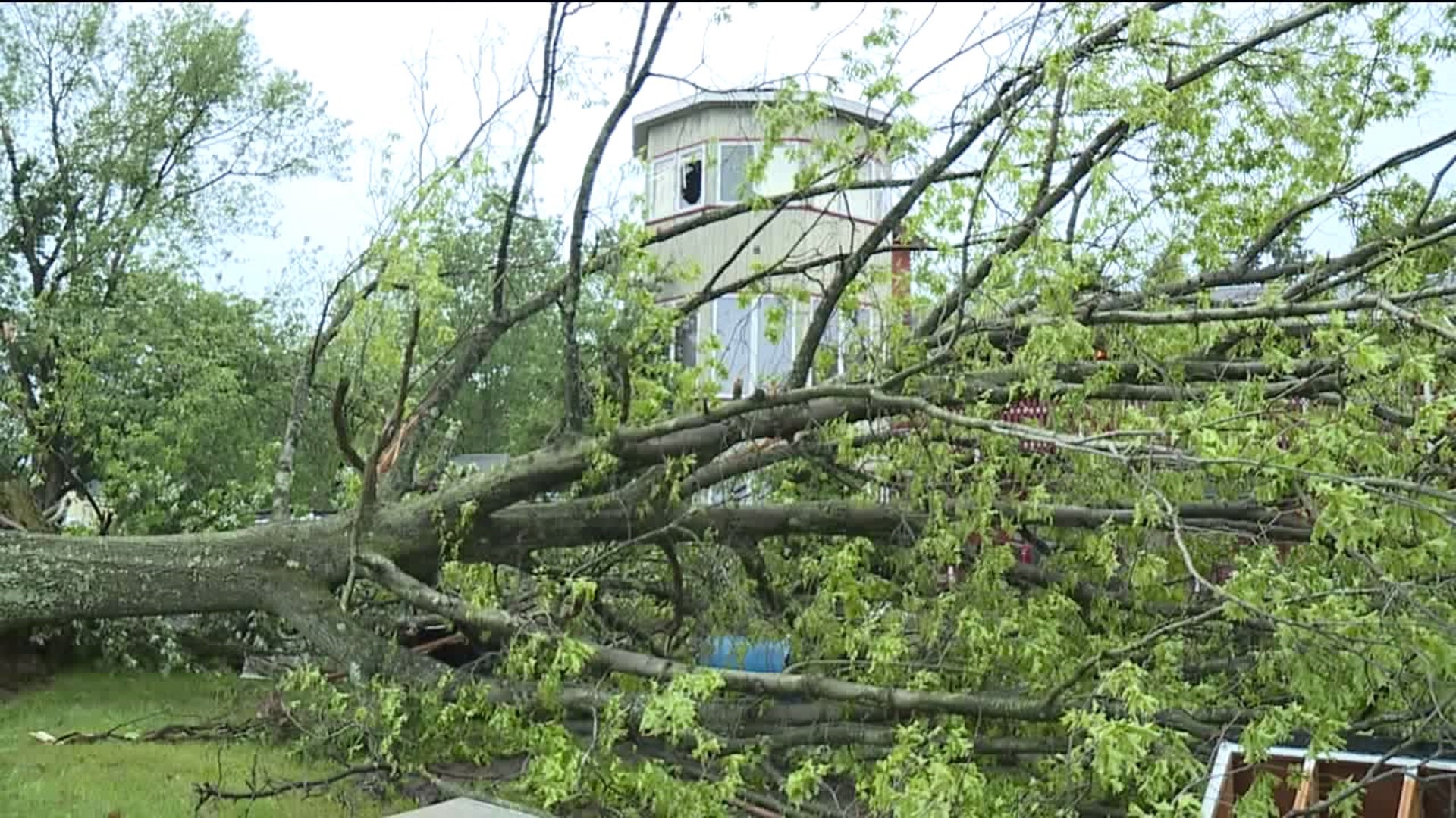After Storm, Assessing Damage and Cleaning Up In Newton Township