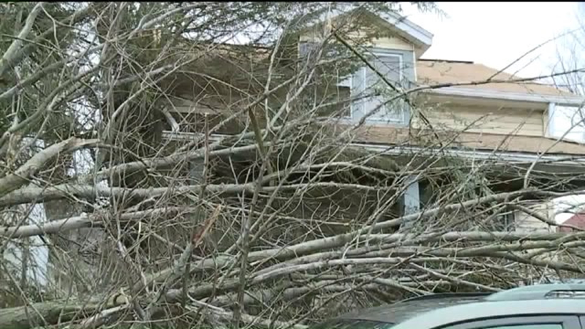 Heavy Wind Causes Tree to Fall Onto Properties
