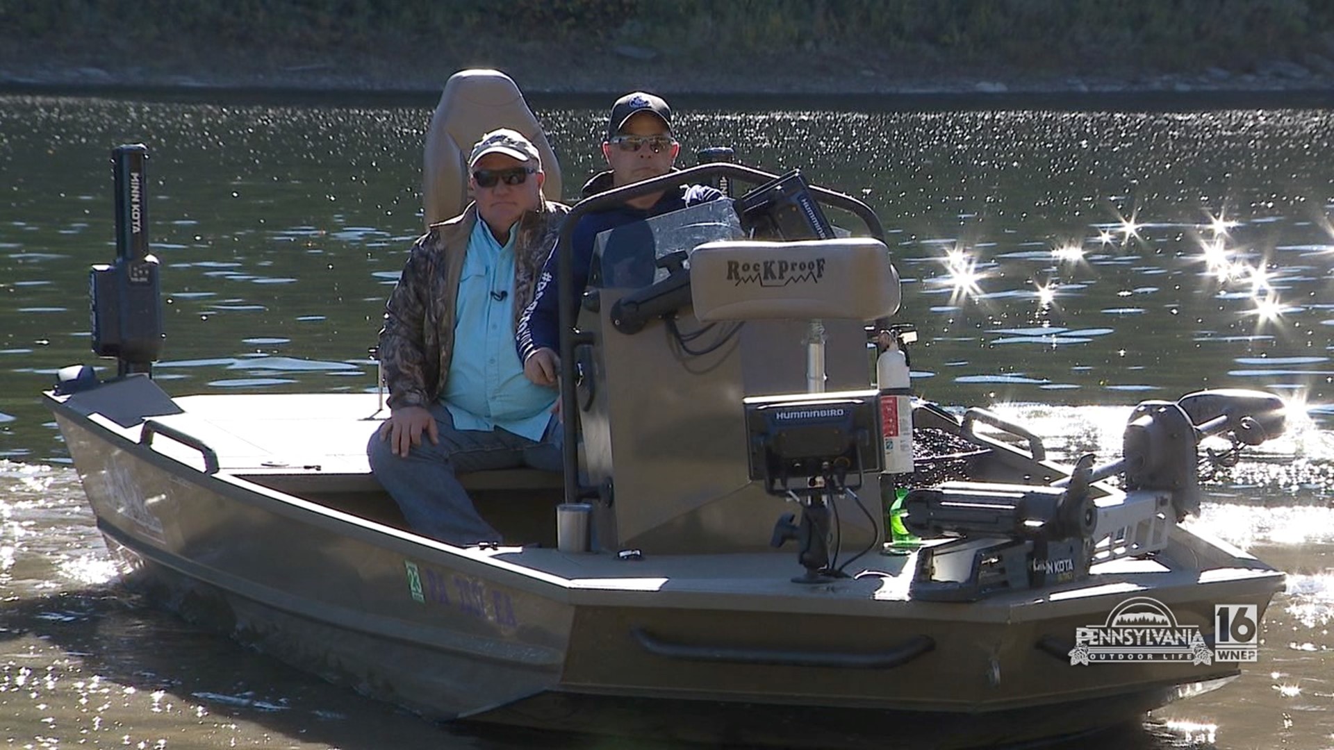 The smallmouth bass in the Susquehanna have the feed bag on.