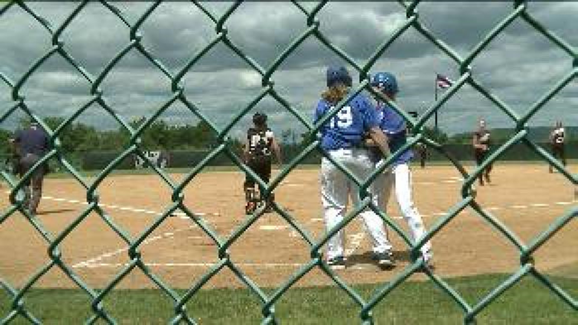 Minersville softball