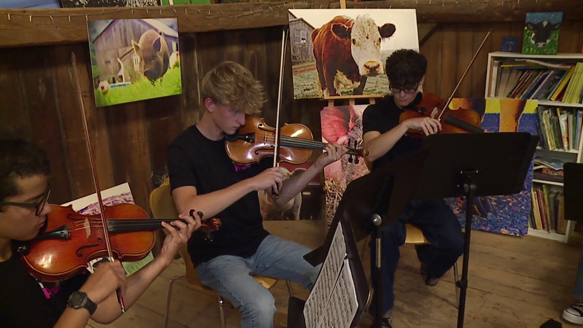 String Tracker NEPA Philharmonic to Host 'Cider and Wild Strings' Concert at Indraloka ...