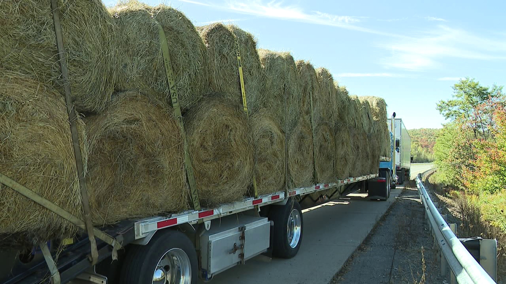 A group of businesses in Wayne County are doing their part in helping people hit by Hurricane Helene.