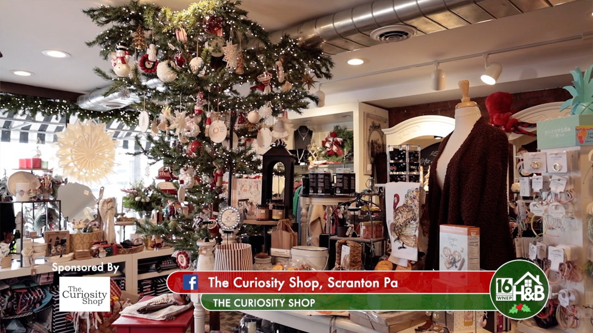 The Curiosity Shop | Home & Backyard Holiday Showcase 2024