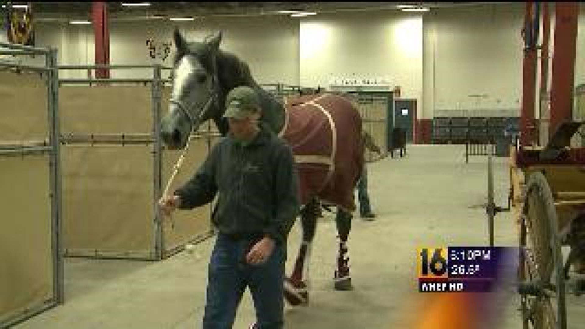 What's New at the PA Farm Show