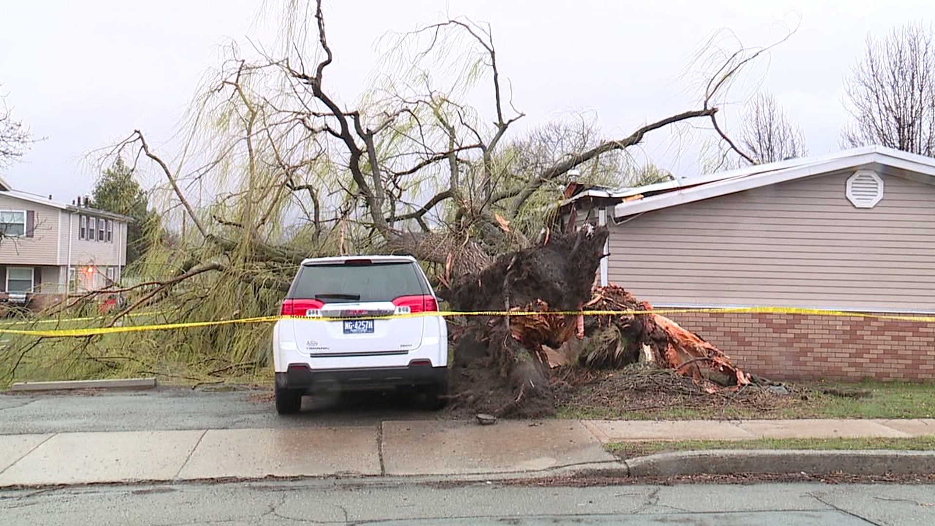 Tree Topples onto House in Dunmore