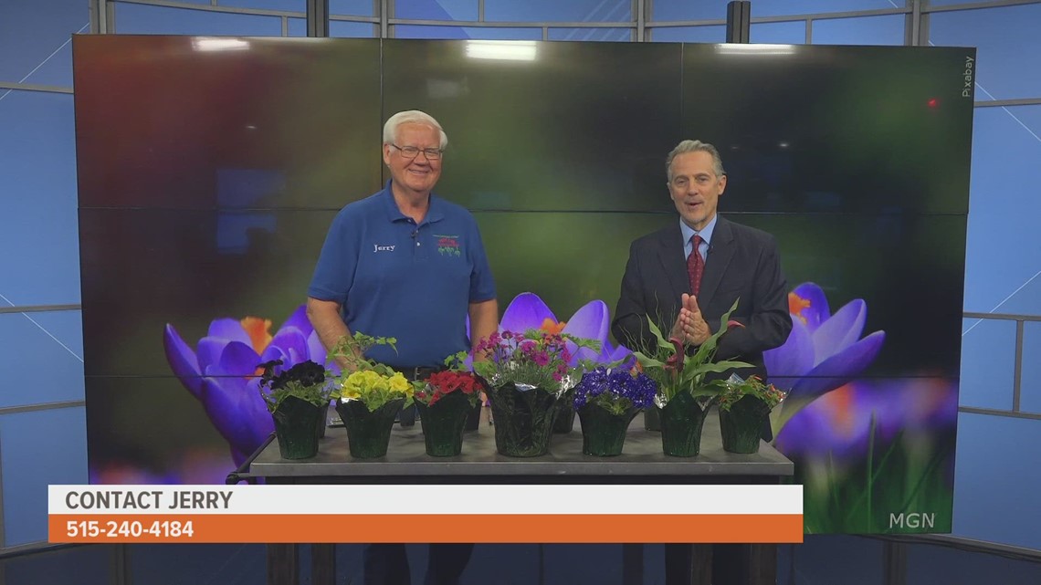 Holub Greenhouses on what to plant as May begins