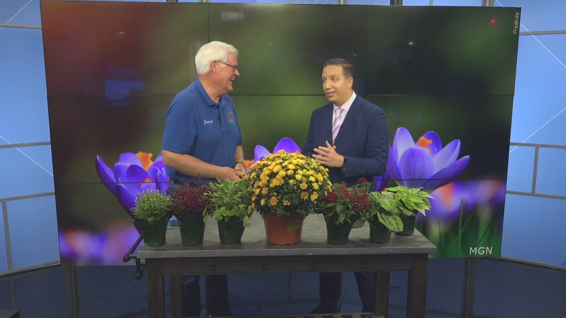 Jerry Holub with Holub Greenhouses shares some outdoor plants for fall and some hard-to-kill indoor plants.