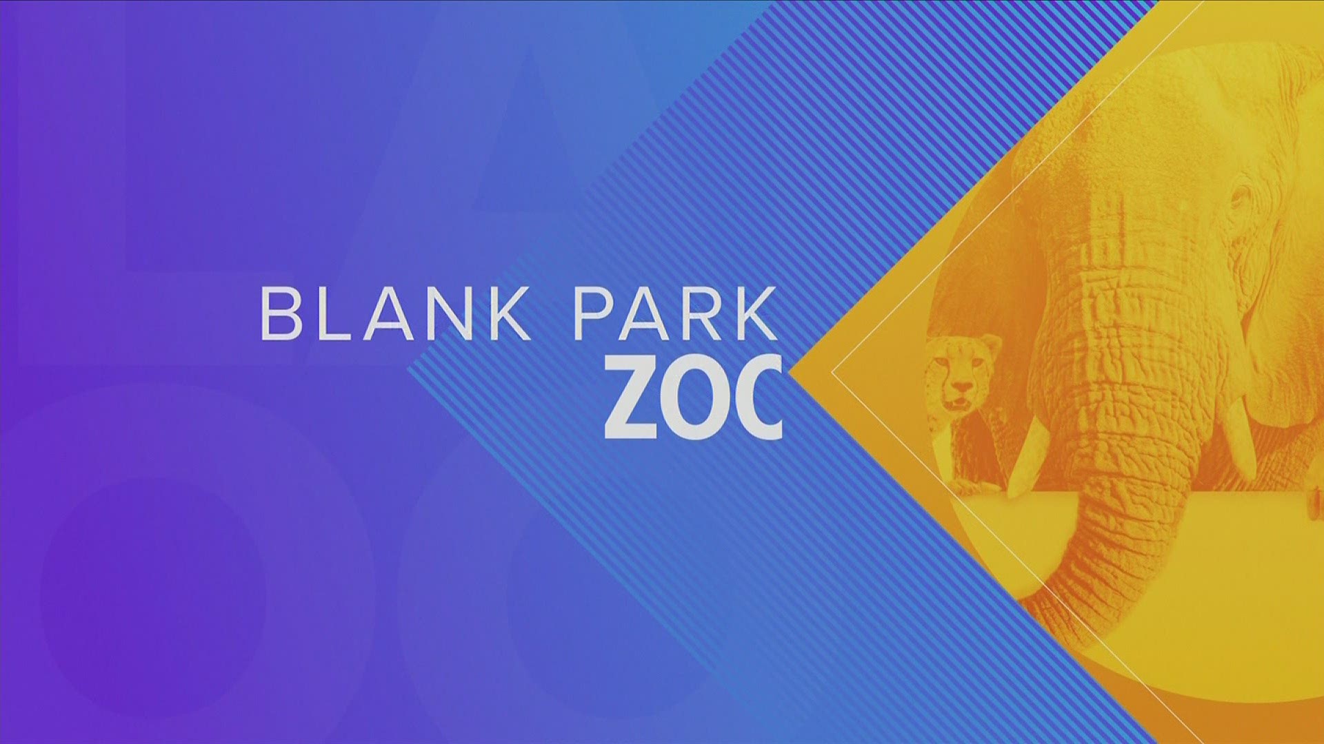 THAT'S A BIG BOA! Lou goes BEYOND LIVE with with the Blank Park Zoo and special guest, Jersey the HUGE Boa Constrictor! Also, fun Valentine's activities this weekend