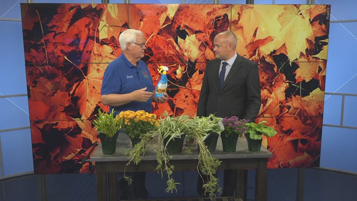 With impending freeze, Holub Greenhouses shares how to bring your