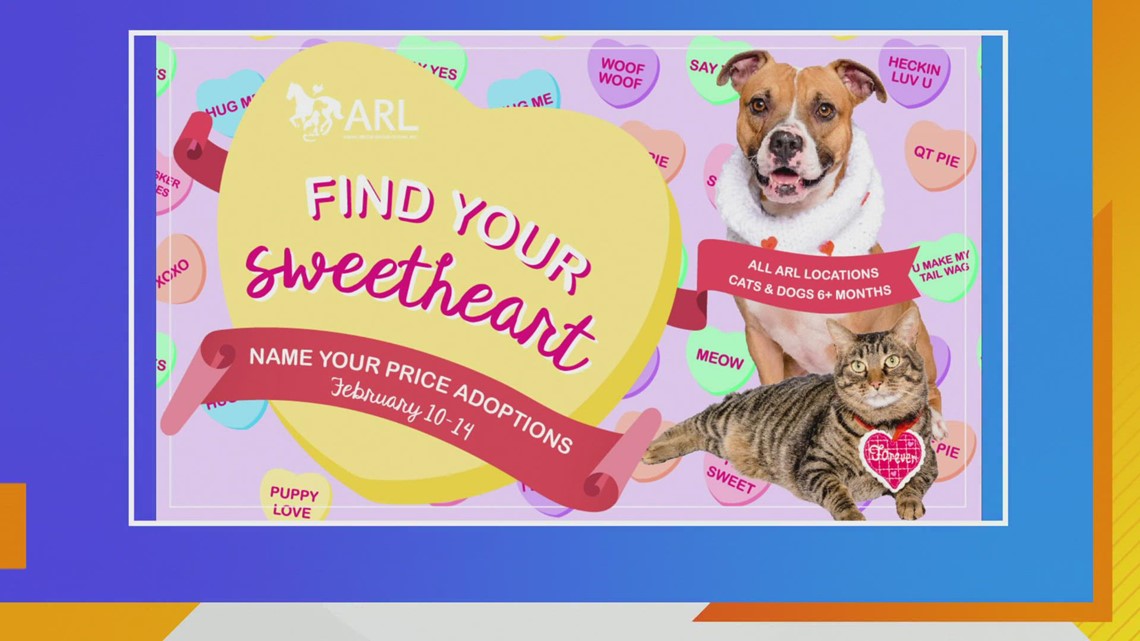 Find your NEW SWEETHEART this Valentine's Weekend at ARL of Iowa - Vimarsana News