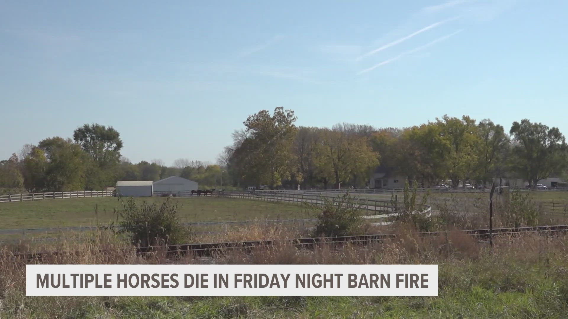 Multiple horses killed in Des Moines fire Friday night