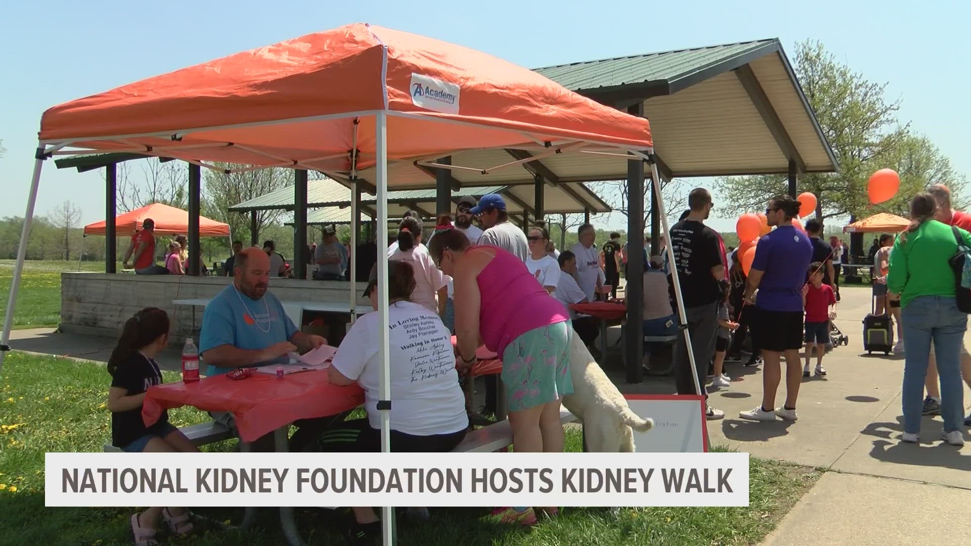 The 13th-annual Kidney Walk raises money toward the National Kidney Foundation's main focuses: awareness, prevention and treatment of kidney-related health.