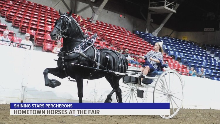 Altoona-based draft horse team to take on Iowa State Fair competition