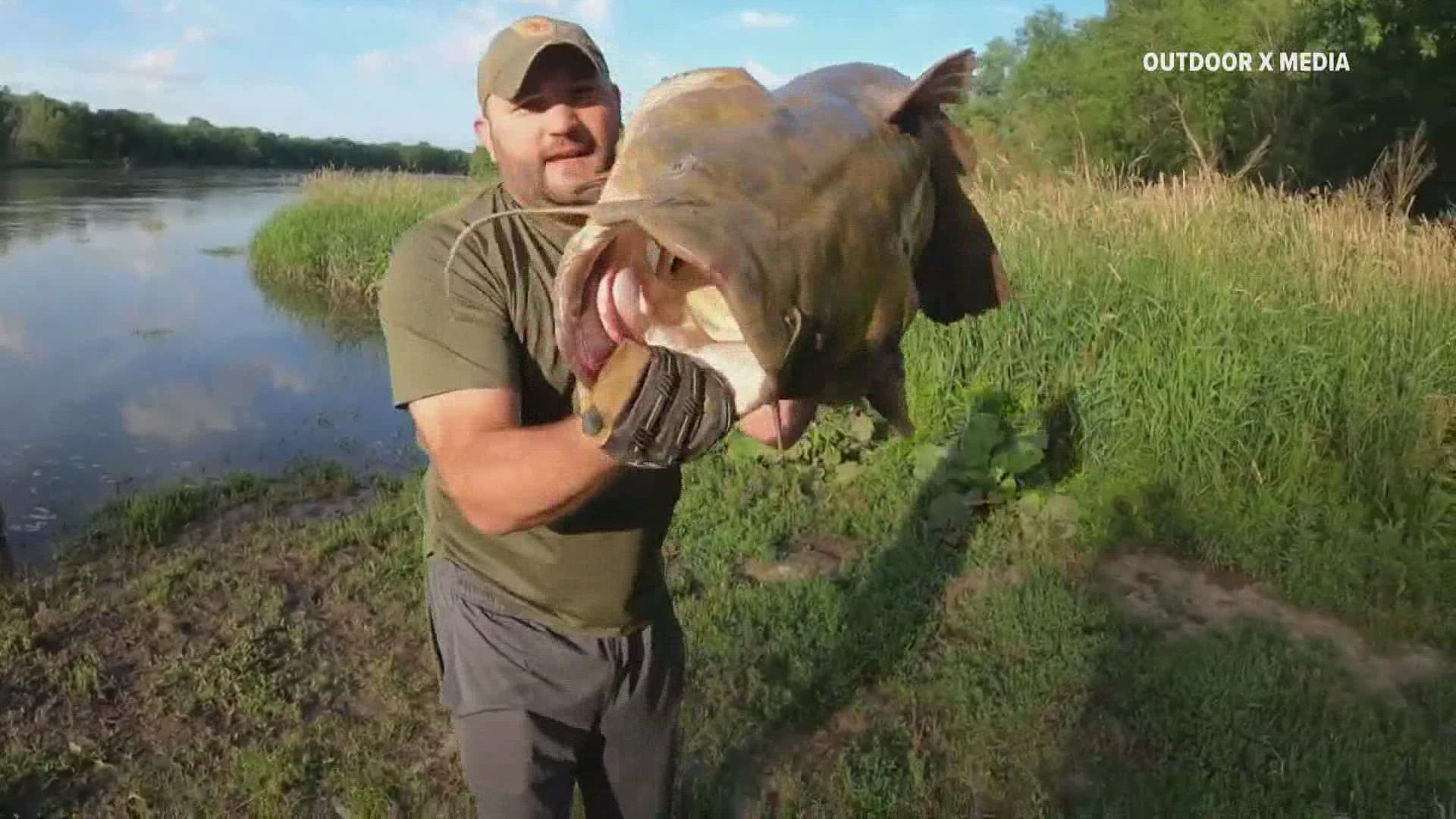 The flathead catfish reeled in Saturday was only 10 pounds short of Iowa's record.