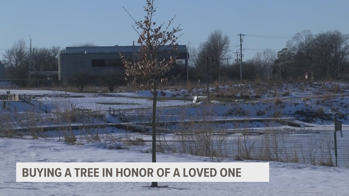 Groups partner to replenish Des Moines trees and honor families - Vimarsana News