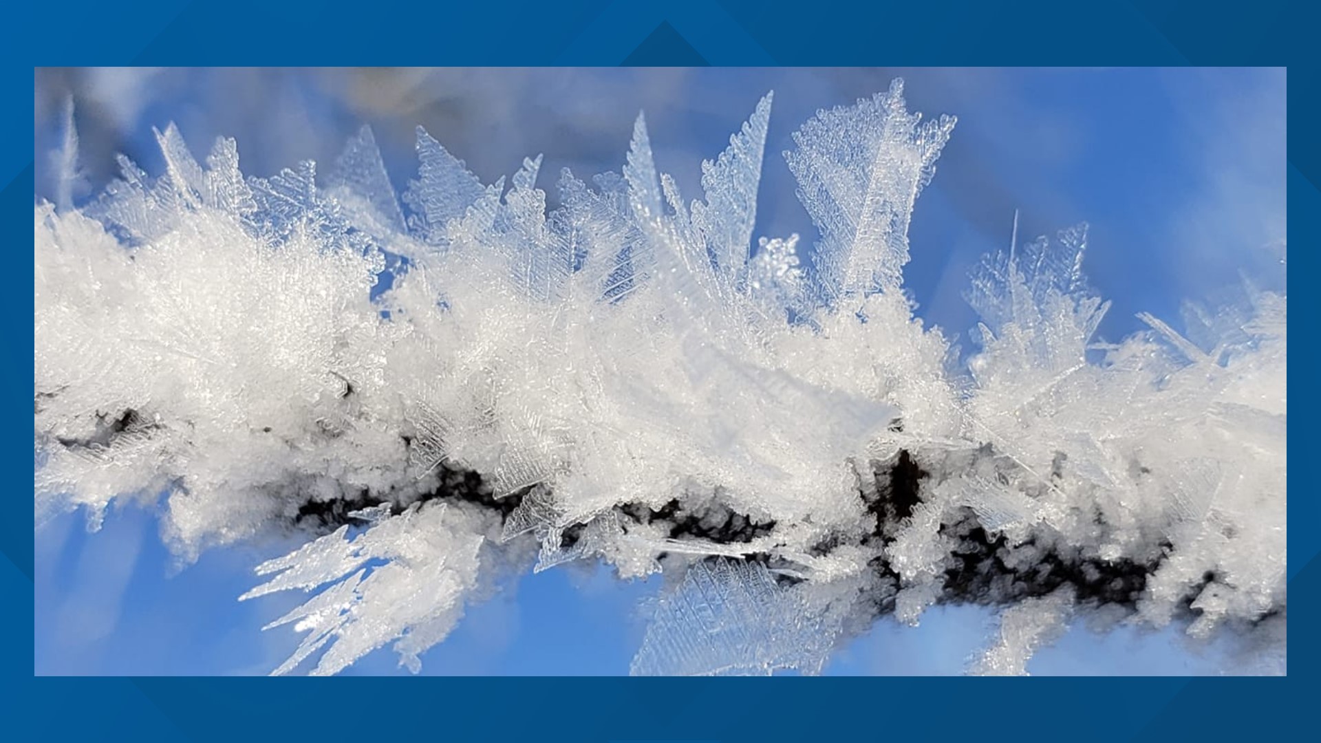 The Difference Between Hoar Frost And Rime Ice Weareiowa Com   17df6be9 9569 4c07 8c53 34fe70a83f85 1920x1080 