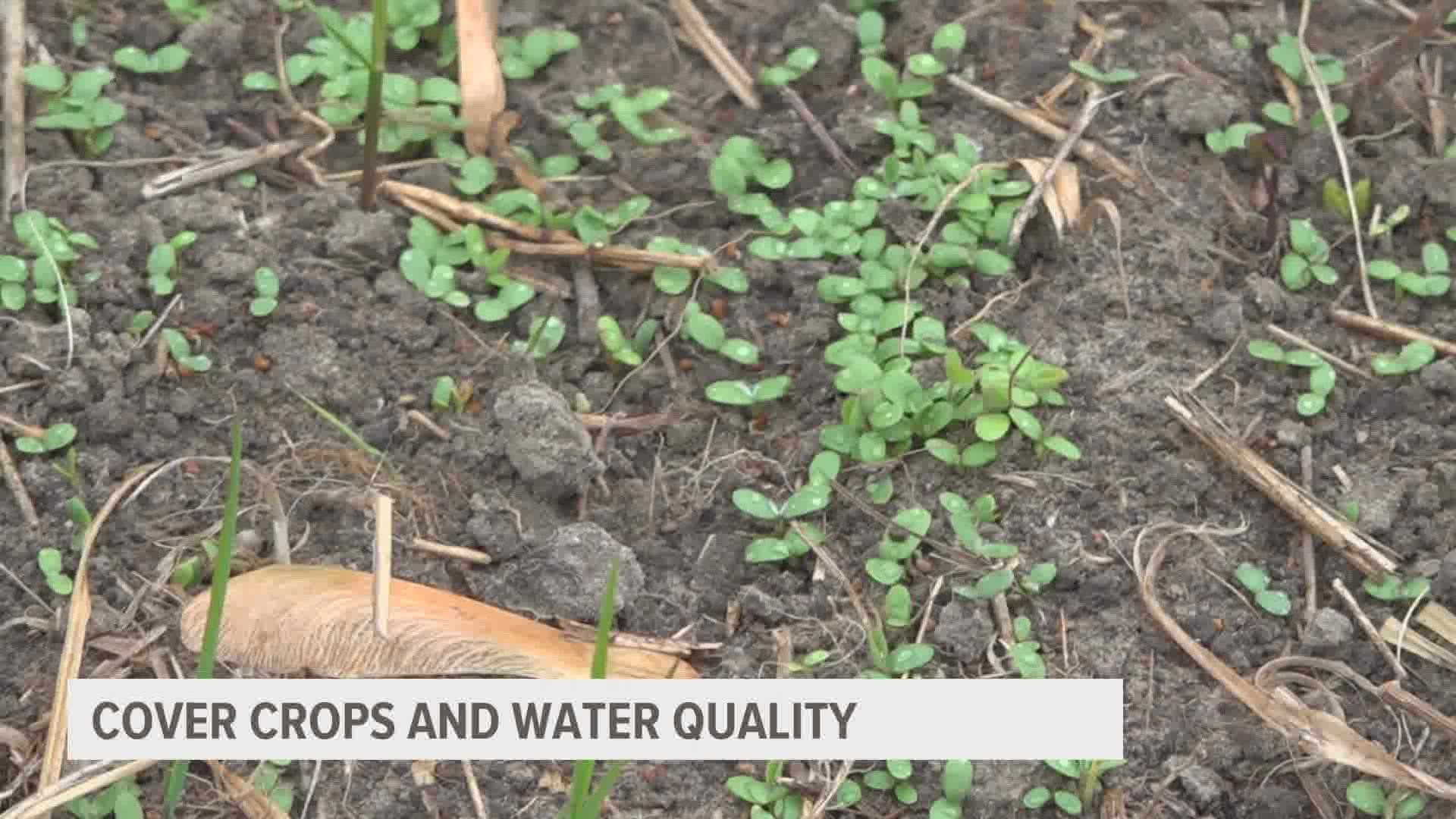 A farmer-owned cooperative and the Des Moines Water Works are coming together for education on the benefit of cover crops, and how water quality can be enhanced.