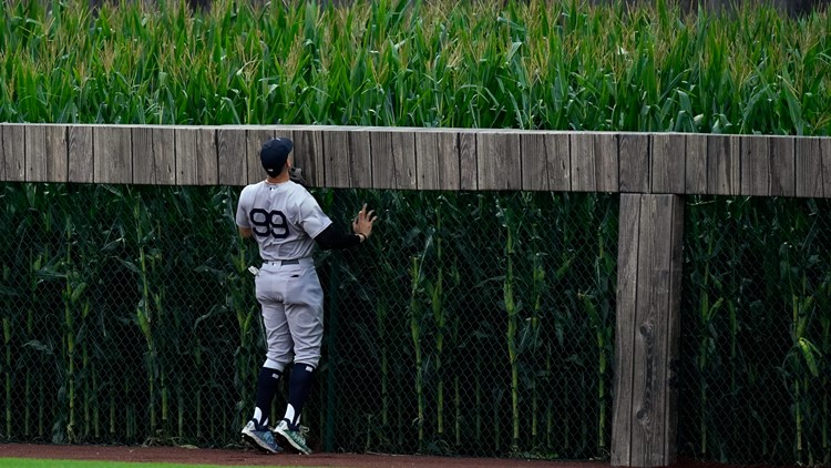 MLB at Field of Dreams: Aaron Judge jersey auctioned off for $33K