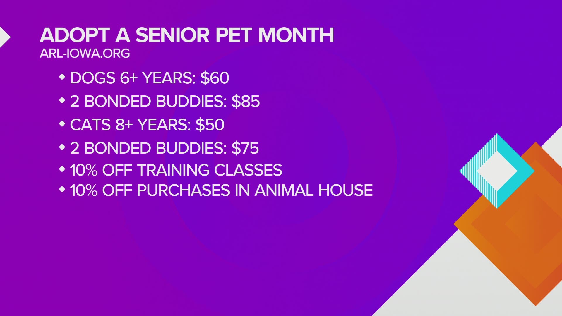 Now is the best time to adopt a senior pet at the Animal Rescue League