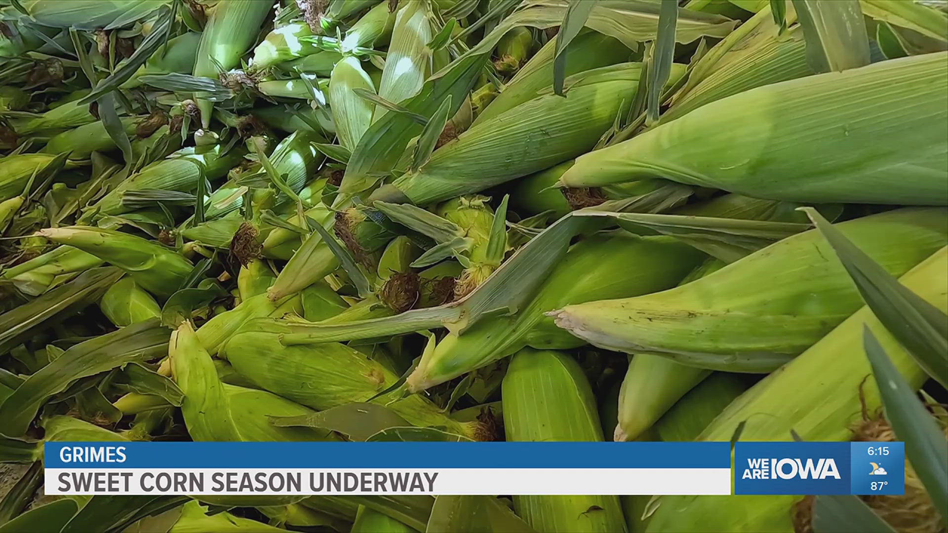 Paulette Bandyk gives Local 5 a glimpse into something every Iowan will recognize: A sweet corn stand.