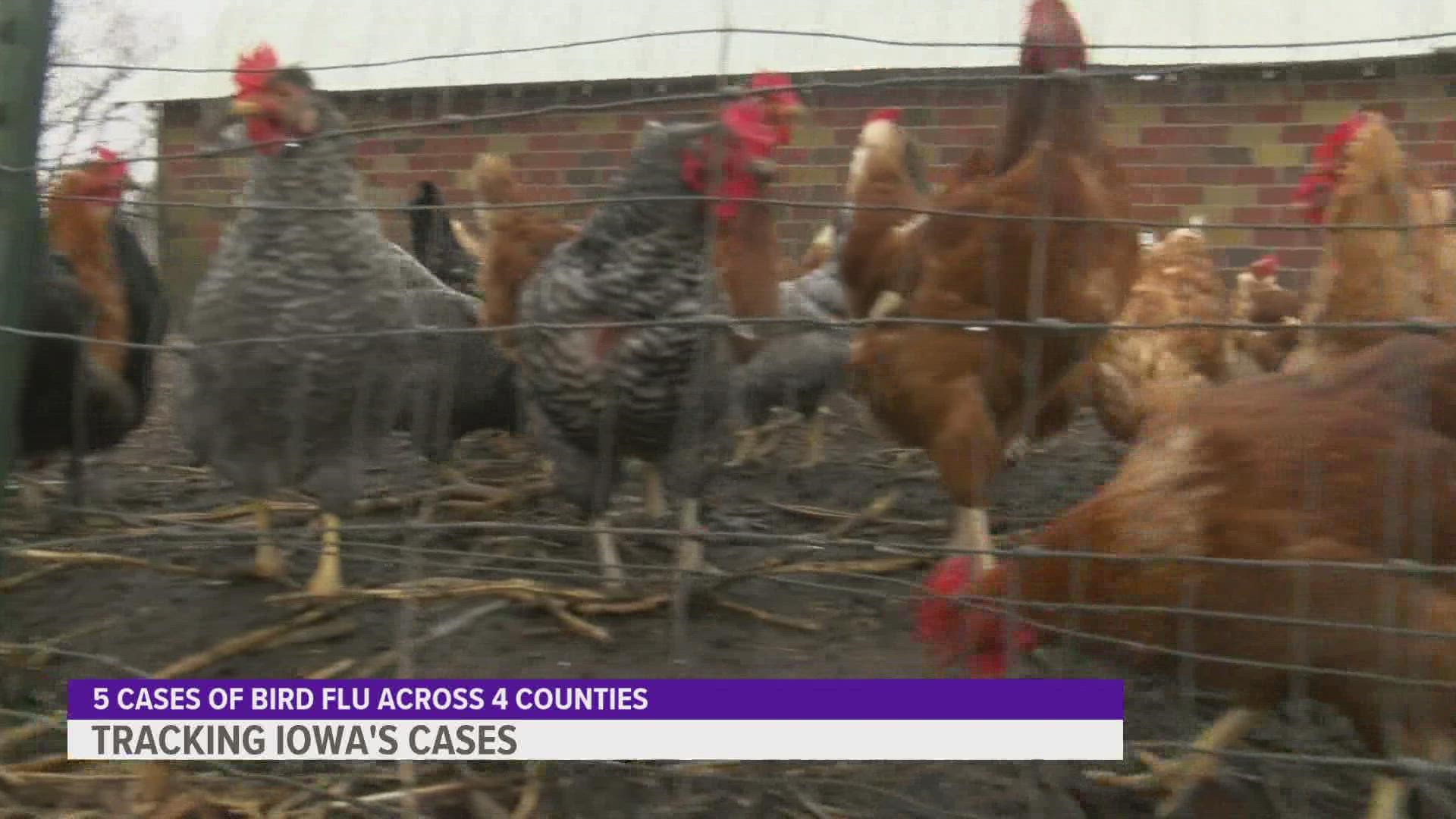 Five cases of the virus have been found in four counties across Iowa.