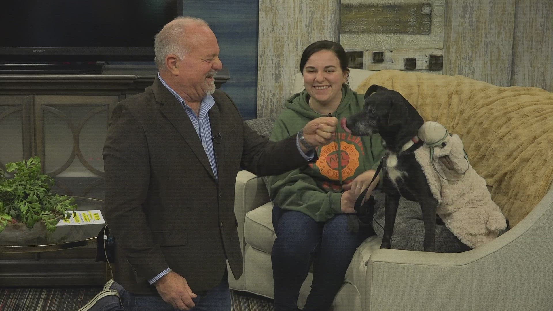 Tristan Haag with the Animal Rescue League of Iowa introduces us to Peaches, and highlights upcoming Halloween themed events.