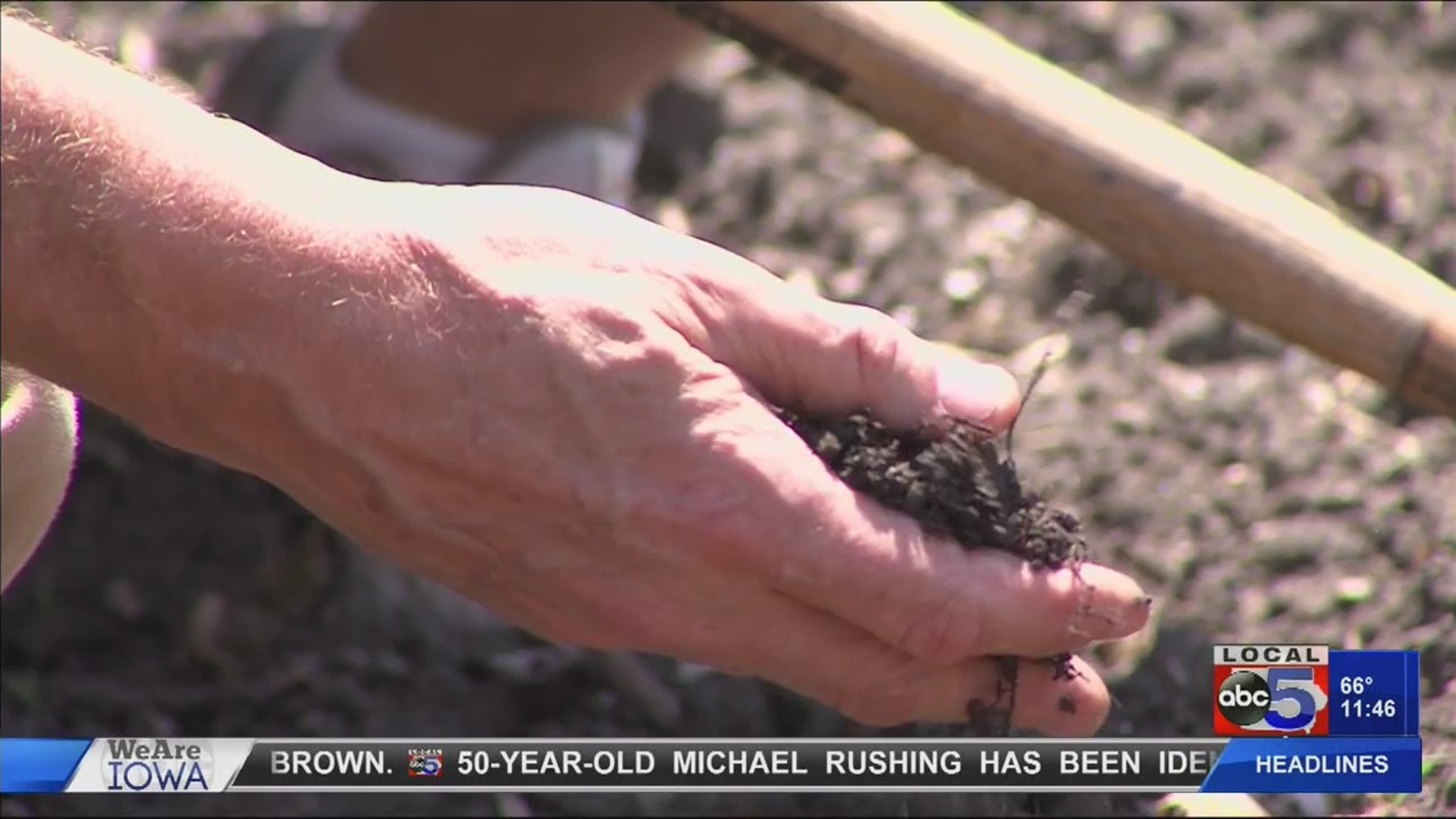 Brad's Backyard Garden: Soil conservation