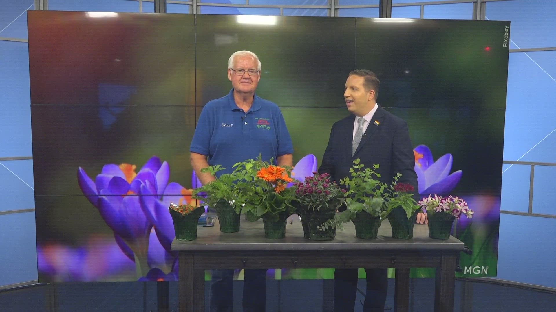 Jerry Holub with Holub Greenhouses brought some summer plants and fast tips for gardeners.