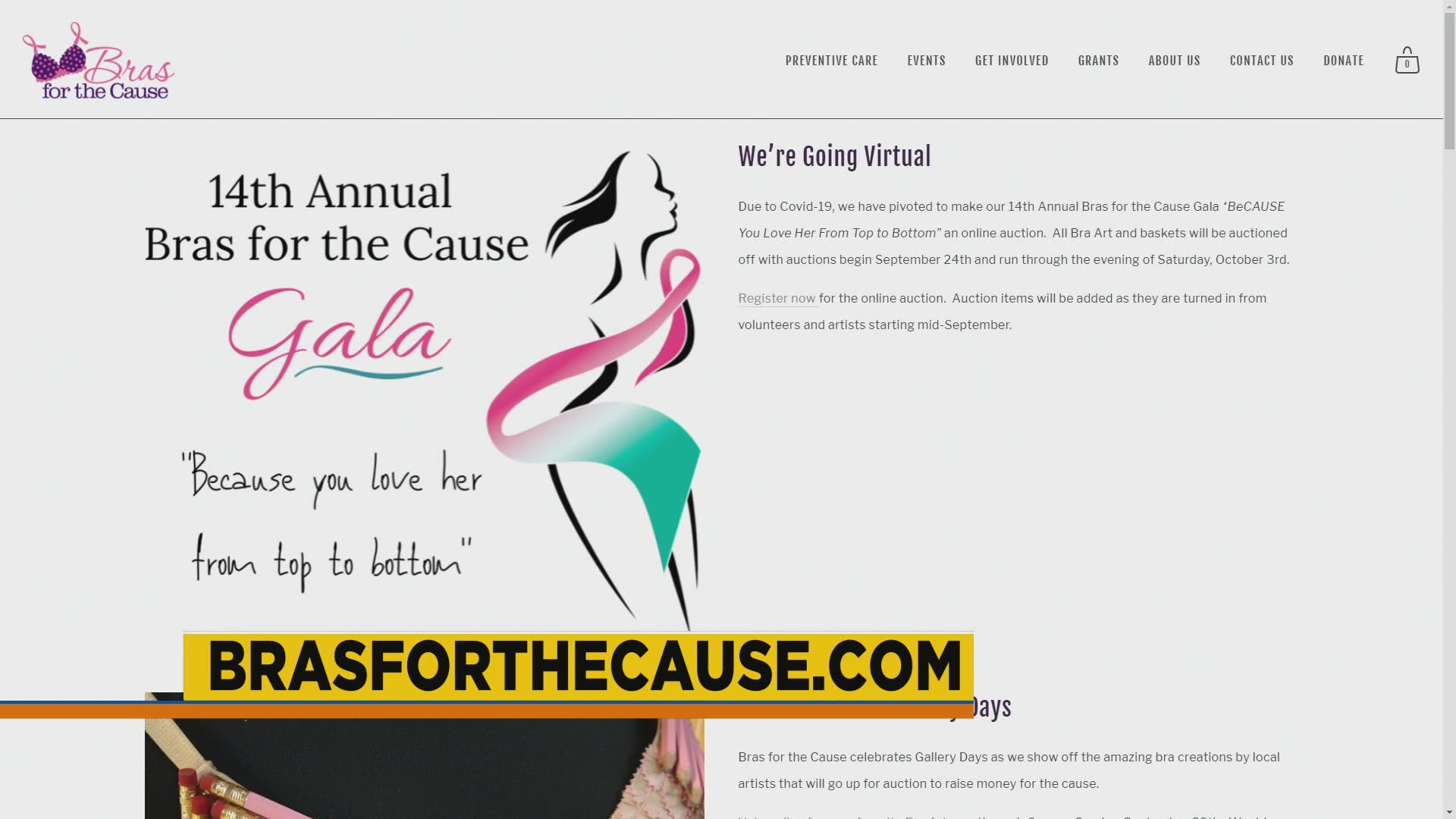 You can register for the online gala auction at BrasForTheCause.com