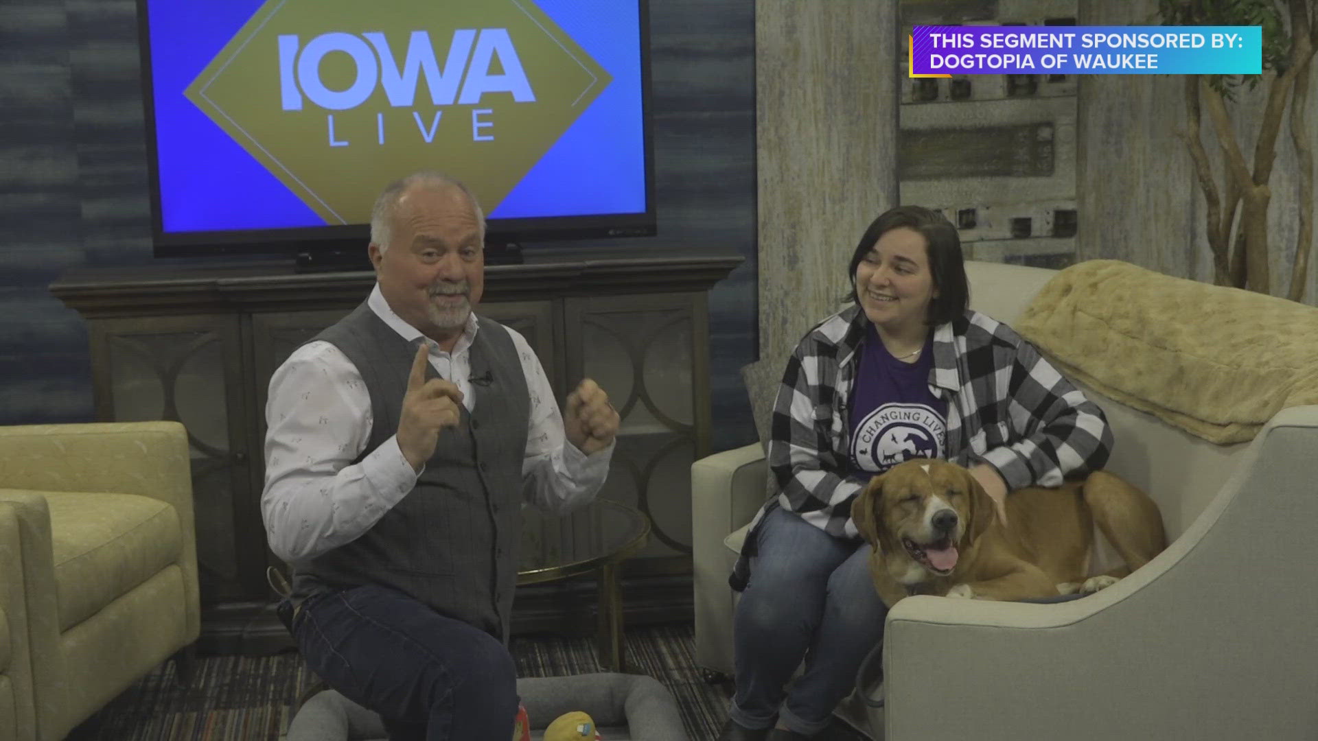 This segment with the Animal Rescue League is brought to you by Dogtopia of Waukee, the premier dog daycare in the metro | Paid Content