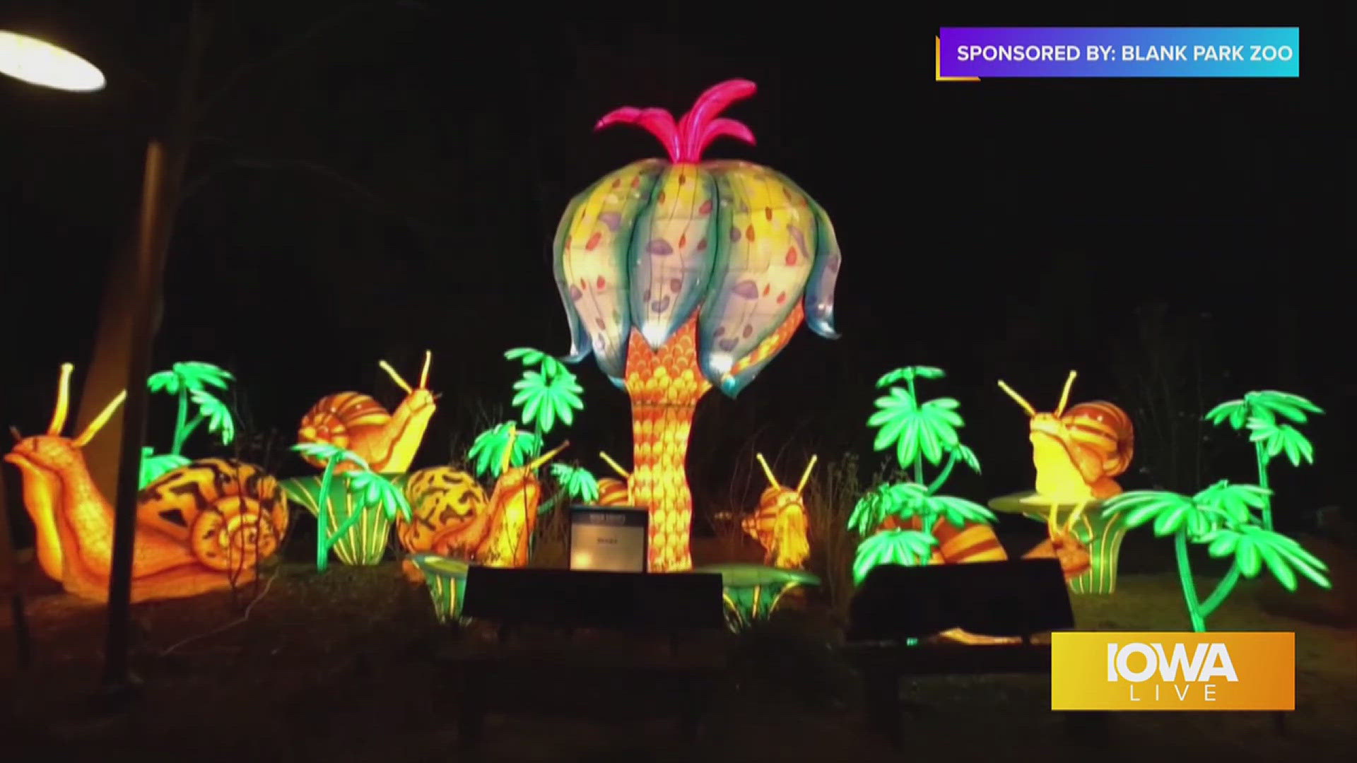 Take advantage of the Blank Park Zoo's Wild Lights Flash Sale now - Friday. This is the only time flex tickets are available! | Paid Content