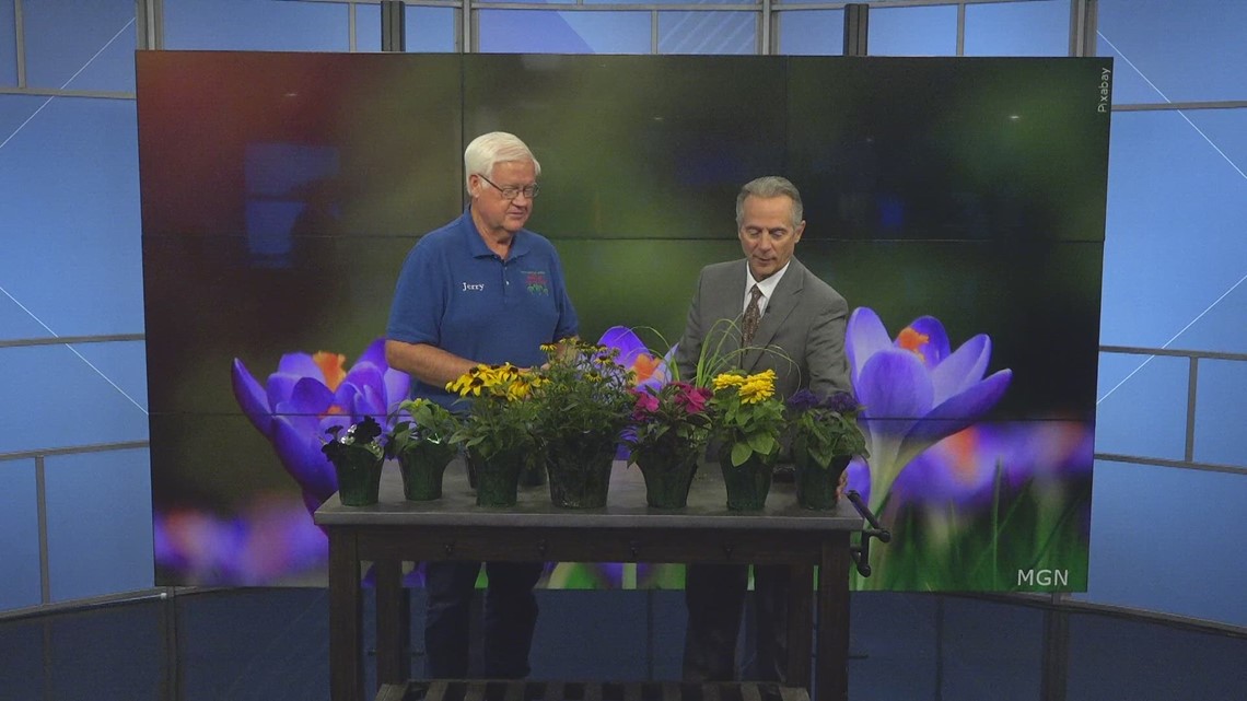 Holub Gardens on Merle Hay hosting 50 off sale July 1