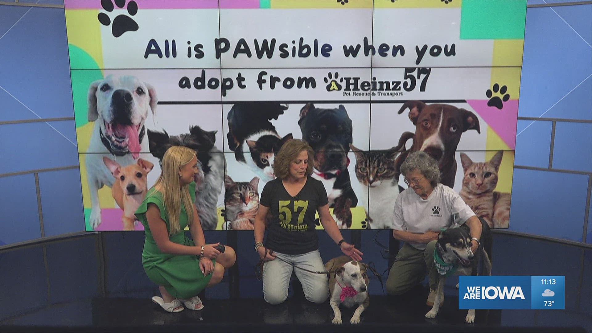 Meet Ali and Blaze, two dogs up for adoption at AHeinz57 Pet Rescue & Transport. Learn more at aheinz57.com