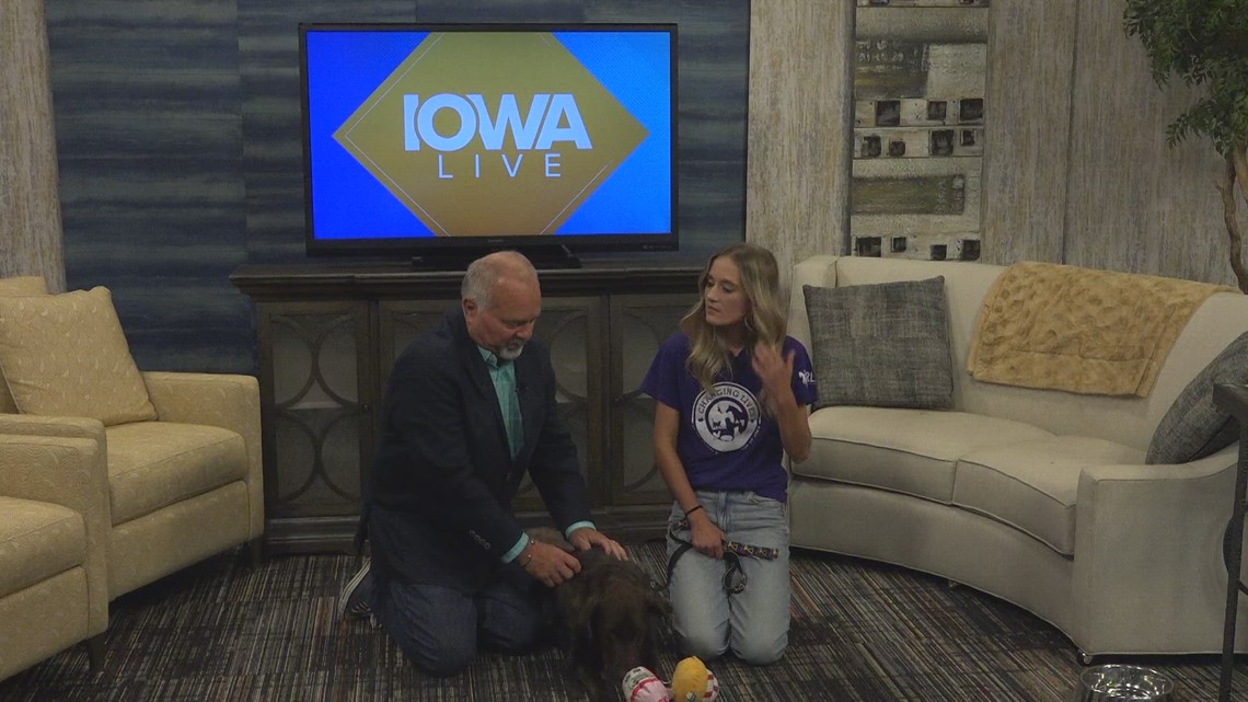 What's New with the ARL | weareiowa.com - Vimarsana News