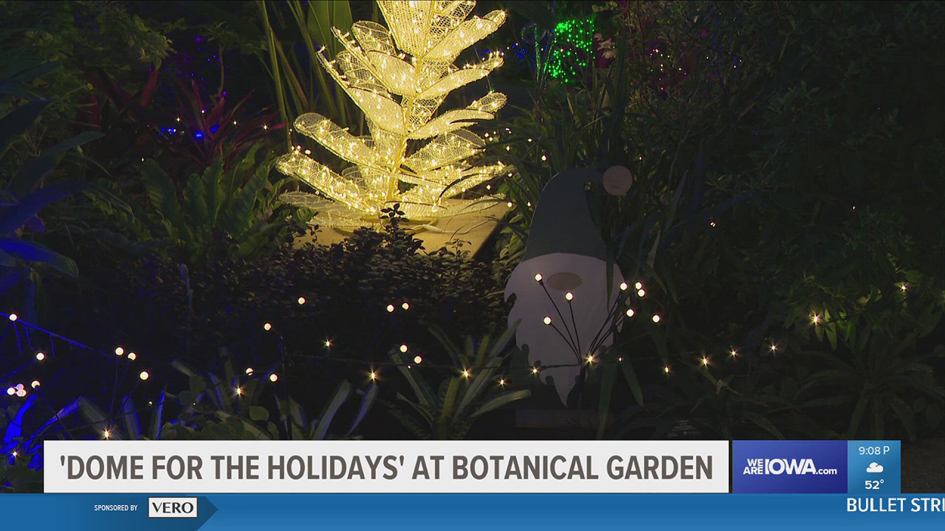 From now until Dec. 31, visitors can experience the garden alongside thousands of twinkling lights.