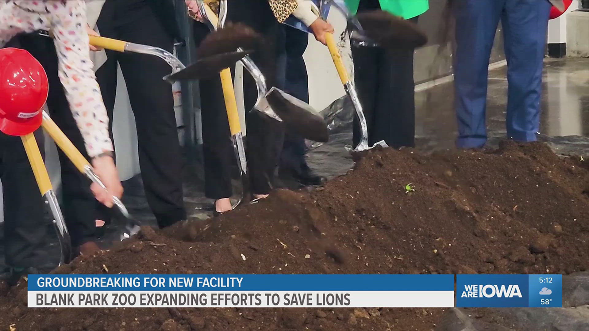 The zoo said the facility will provide more space, increasing capacity for more lions.