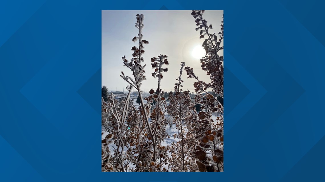 The difference between hoar frost and rime ice