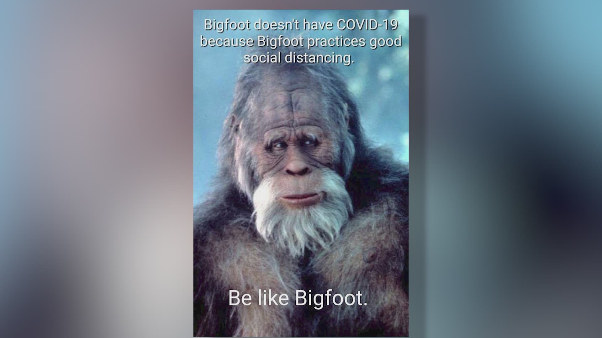 COVID-19 quarantine was lonely and isolating. Then Bigfoot stepped in.