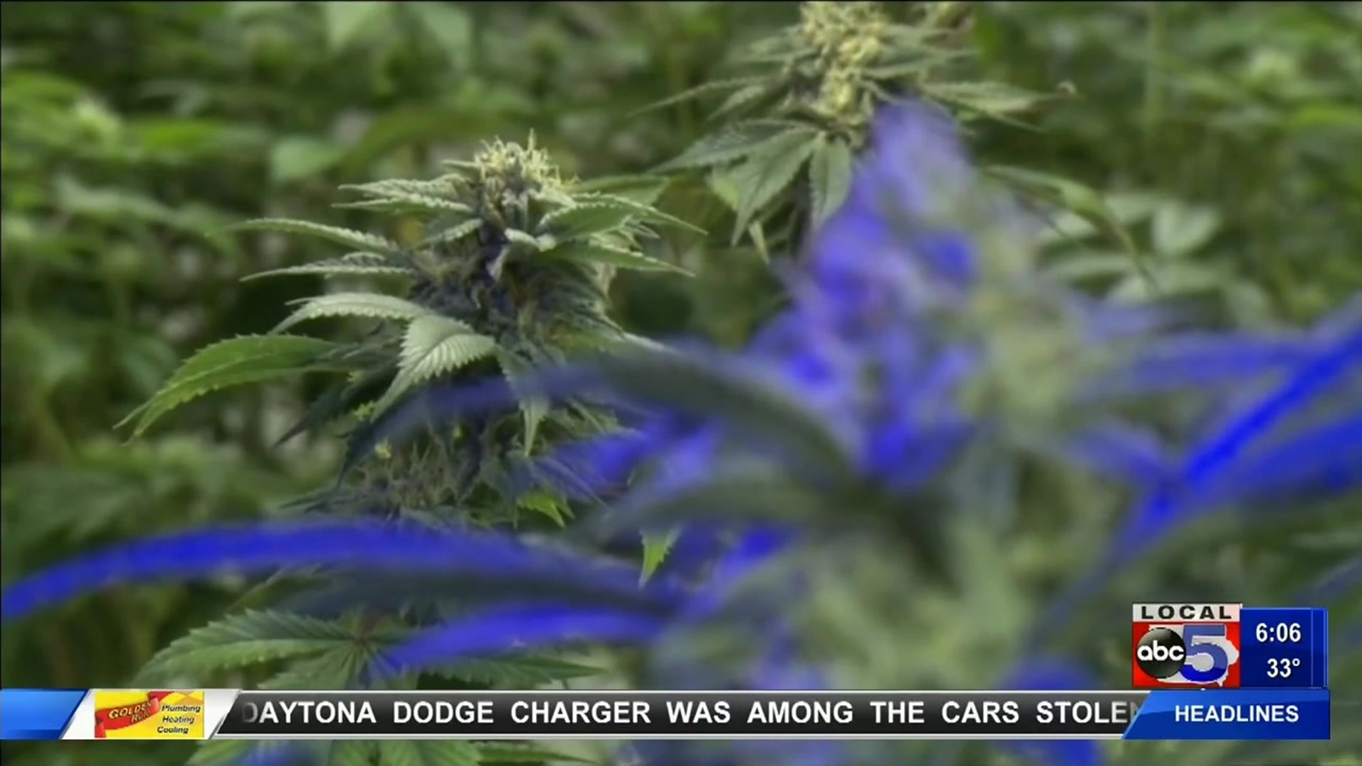 Iowa lawmakers consider bills that could raise THC cap in medical