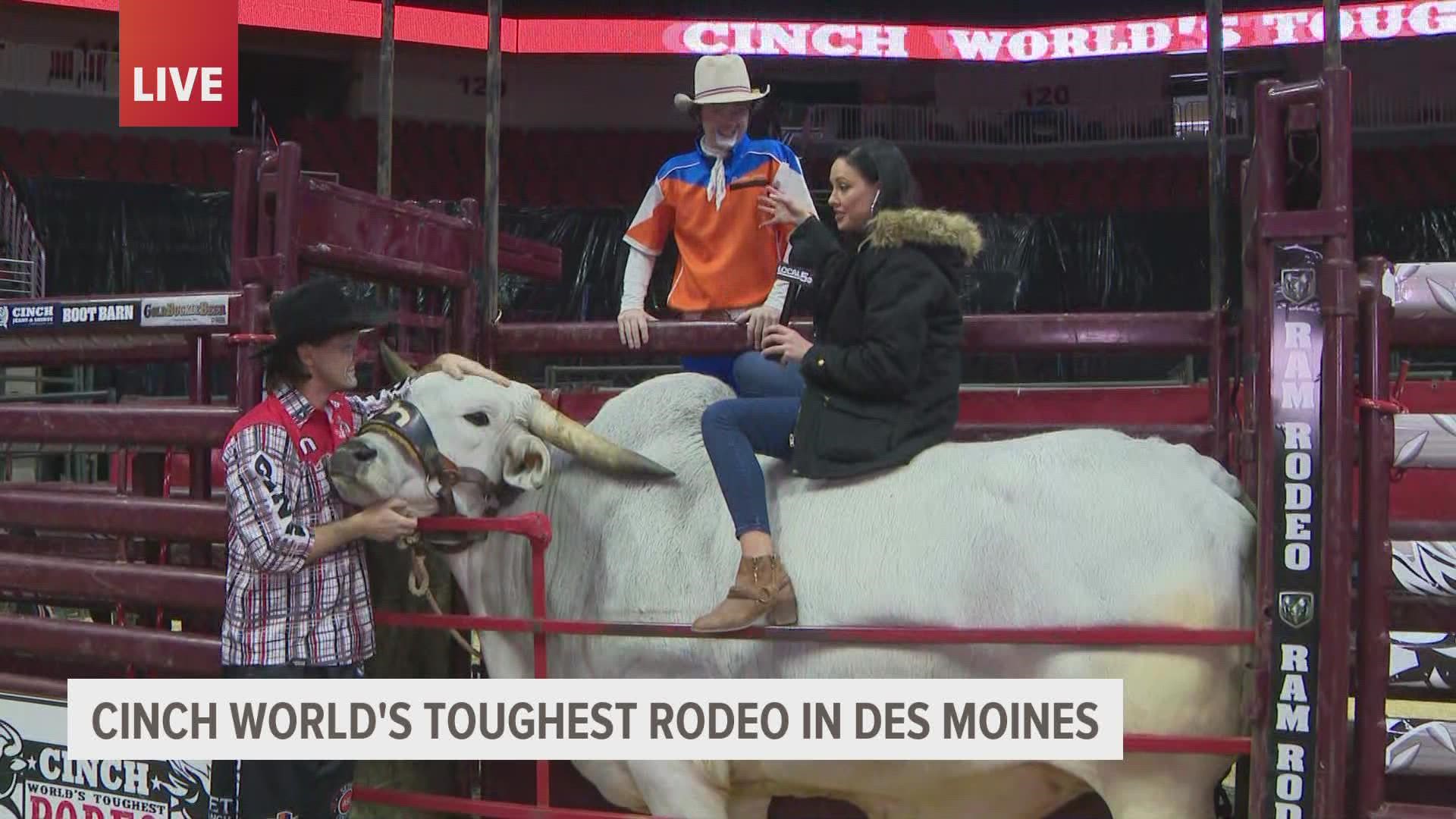 Local 5's Samantha Mesa got to meet Silver Dollar, a gentle bull at the Cinch World's Toughest Rodeo.