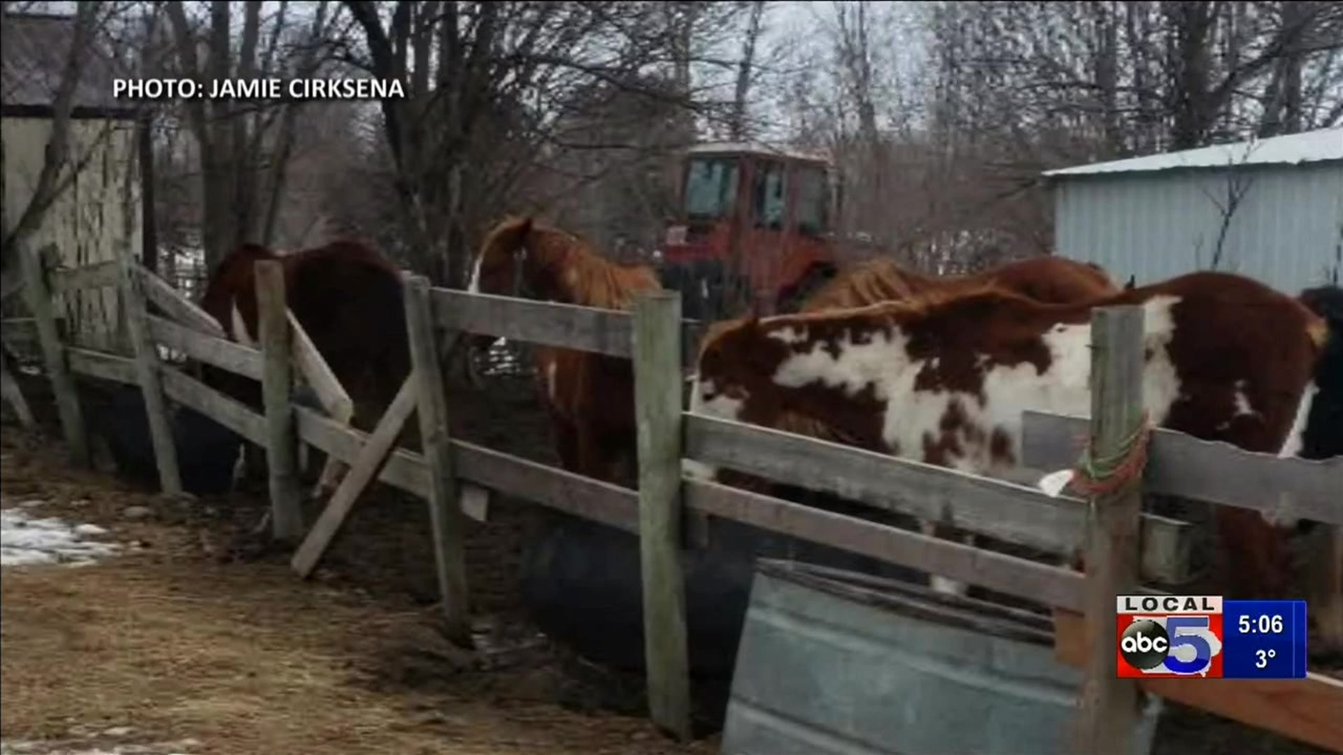 Possible horse neglect in Dallas County