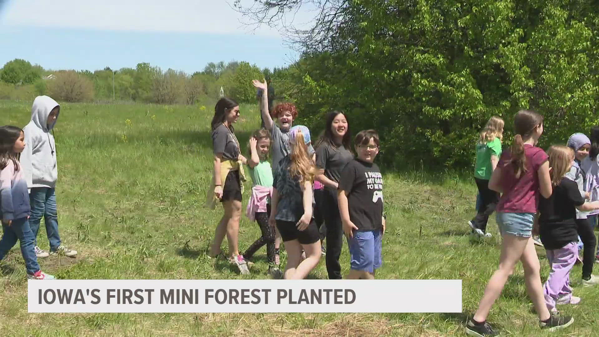 The mini forest helps improve air, water and soil quality.