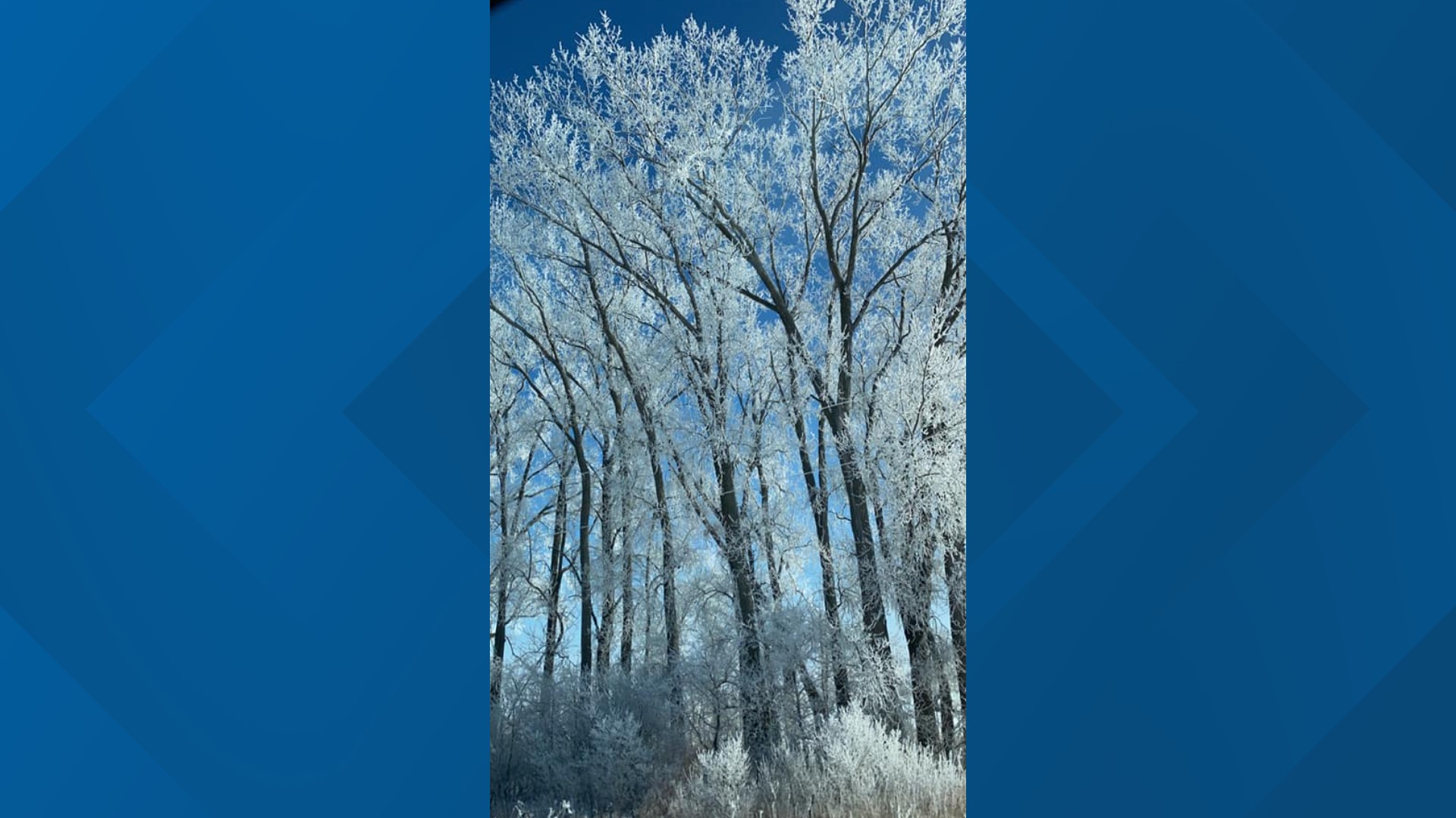 The difference between hoar frost and rime ice