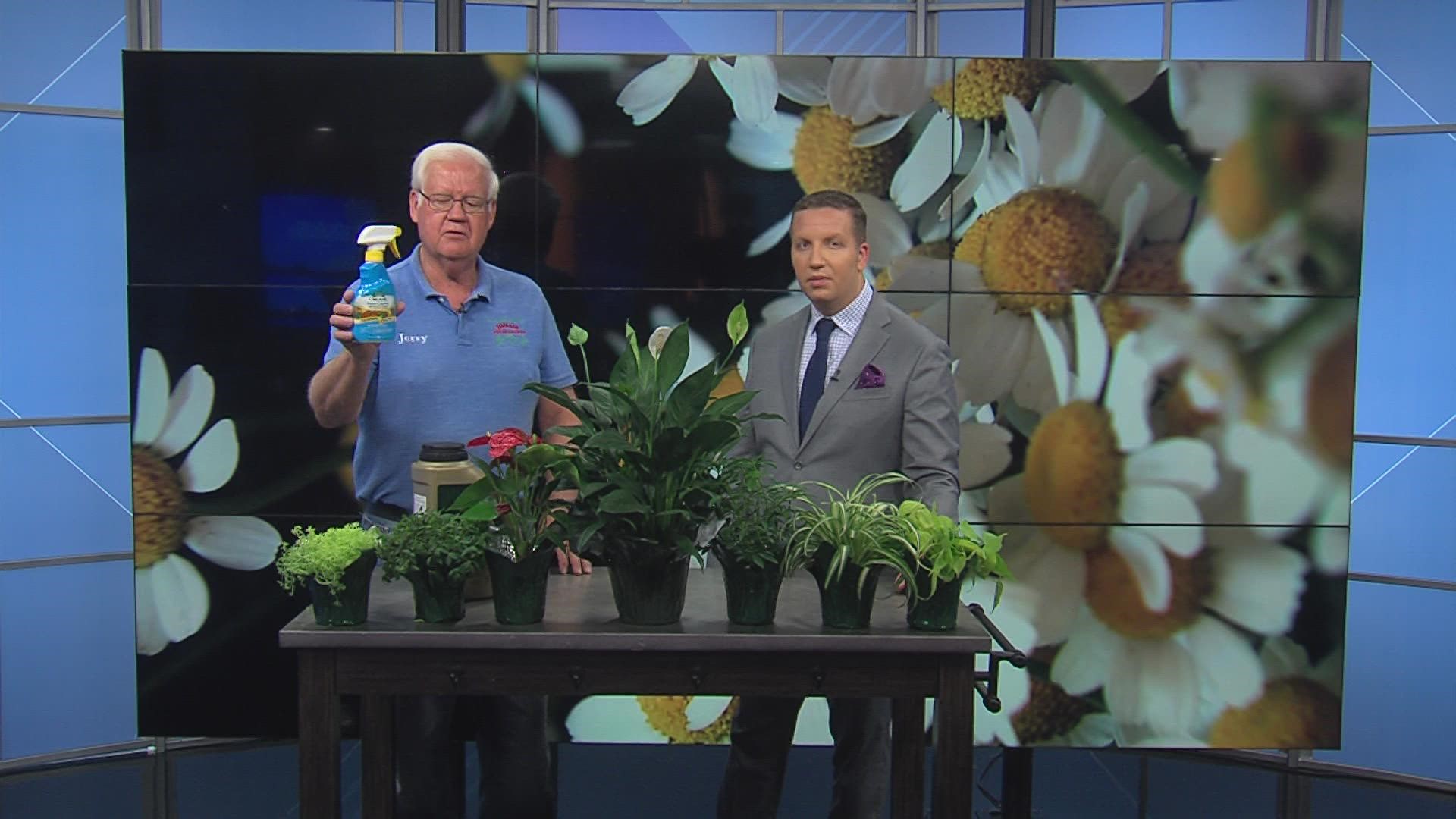 Jerry Holub talks about protecting your plants from insects and weather this fall.