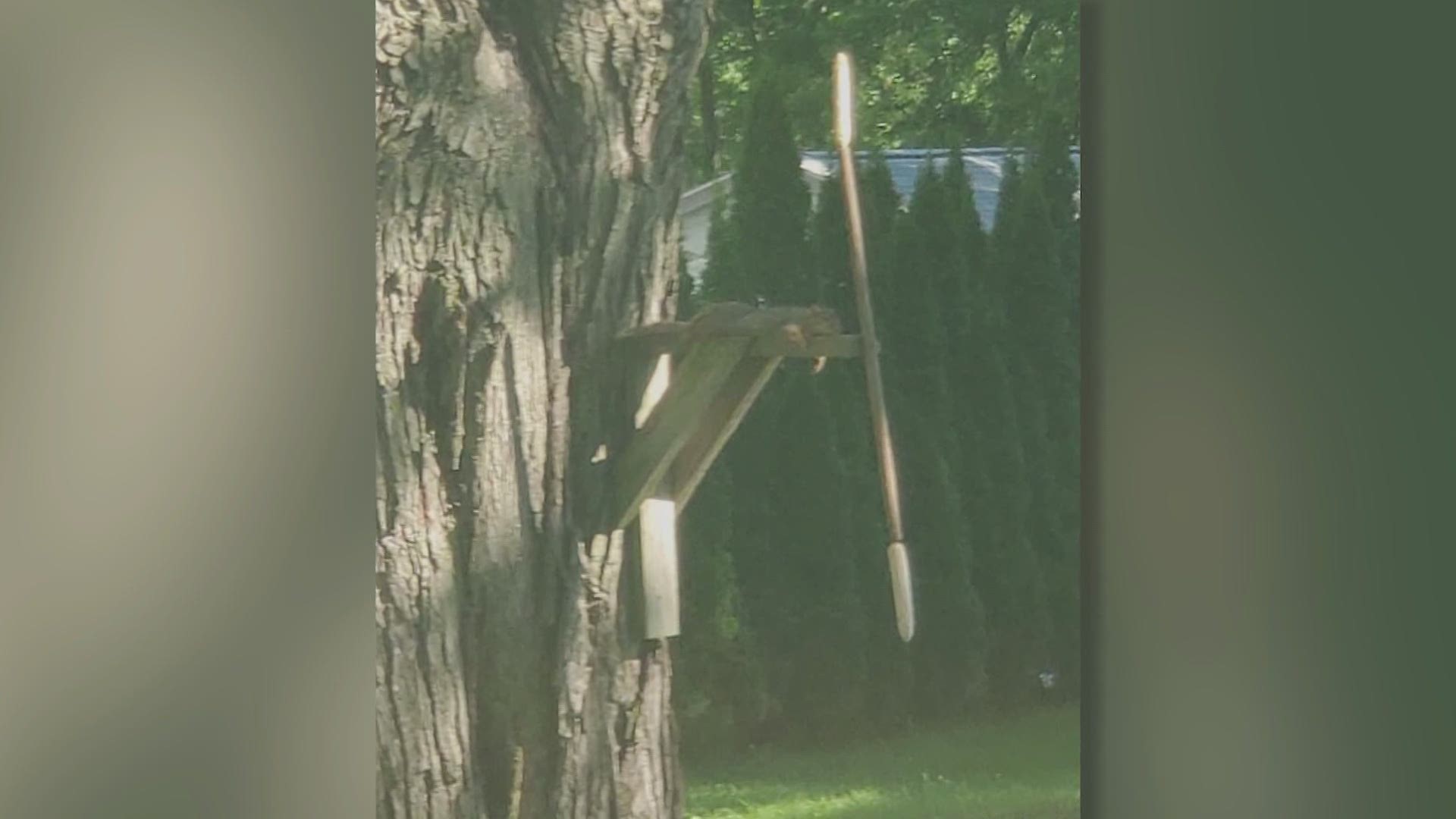 Iowans are sharing photos of a squirrel taking a break in the heat, the strawberry super moon, and more ways to stay zen.